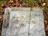 image of grave number 56067